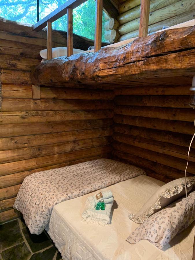 - A Pastoriza - Lugo Camping *