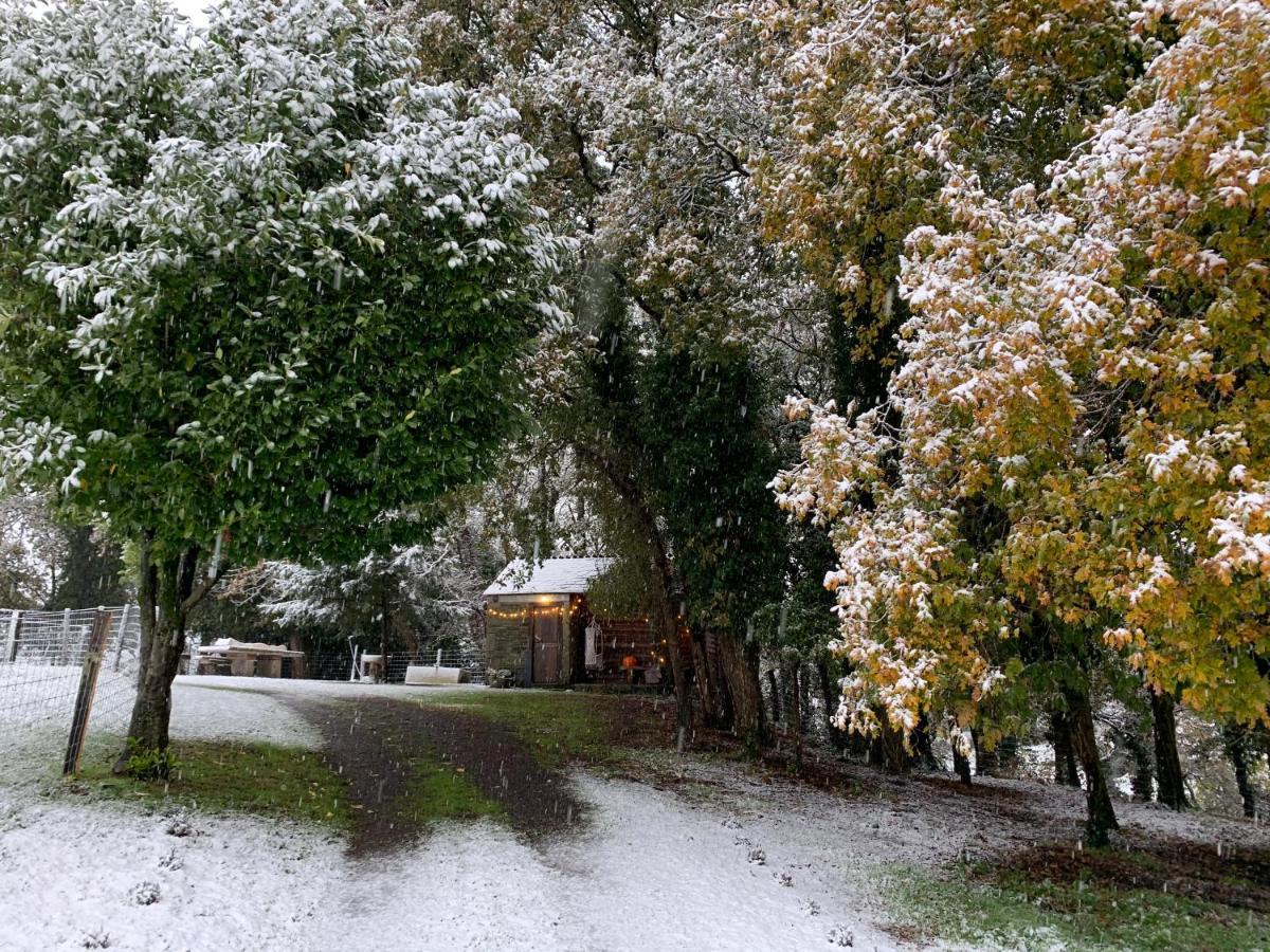 Camping - A Pastoriza - Lugo *