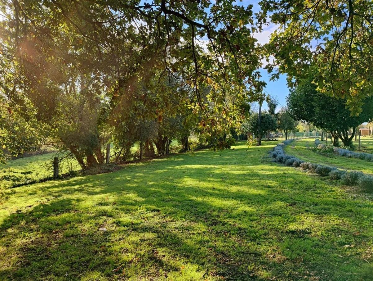 - A Pastoriza - Lugo Camping